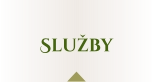 Služby